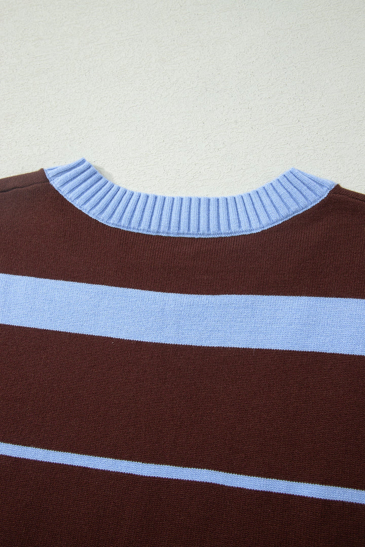 Sky Blue Stripe Striped Short Sleeve Round Neck Casual Knit Top