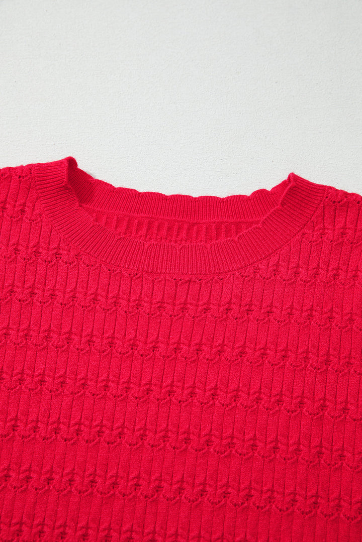Nellie Knit Ribbed Cuffs Sweater