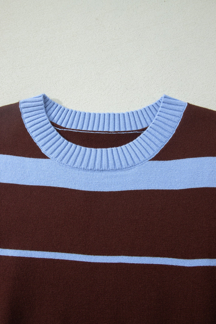 Sky Blue Stripe Striped Short Sleeve Round Neck Casual Knit Top