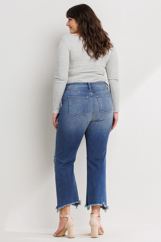 HIDDY HIGH RISE STRAIGHT LEG ANKLE JEANS PLUS